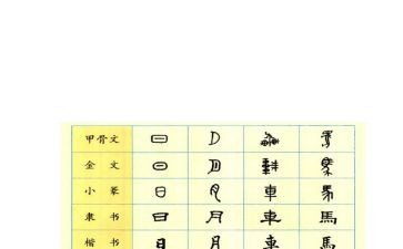 汉字听写活动方案8篇