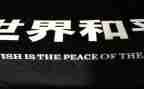 和平的作文最新8篇