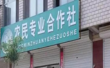 合作社劳务合同5篇
