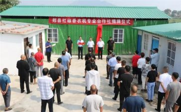 合作社的工作总结5篇