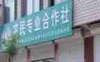 合作社劳务合同5篇