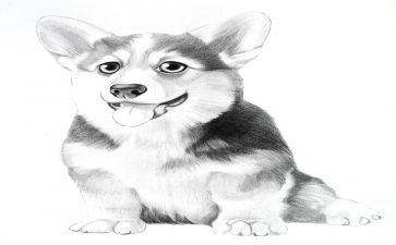 古诗《画》幼儿园教案最新6篇