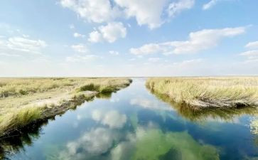 环境状况的调查报告7篇