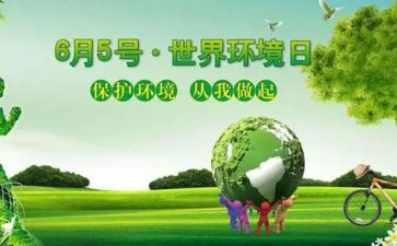 环境日活动总结模板8篇