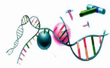 初中理化生组教研工作计划8篇