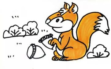 画尾巴教案最新7篇