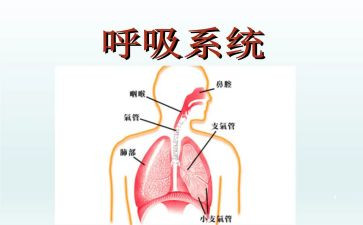 呼吸科年终个人总结5篇
