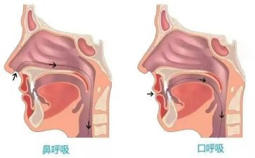 呼吸内科的自我鉴定优质6篇
