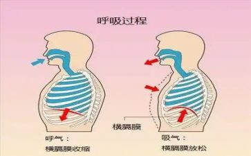 呼吸内科工作计划范文5篇