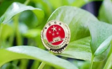 《一号检察建议》心得体会7篇