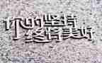 坚持的我作文700字最新8篇