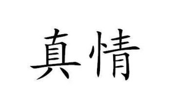 真情感受的作文模板6篇