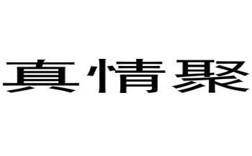 写真情流露的作文600字5篇