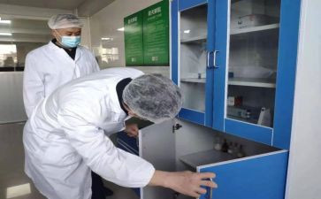 检验组工作总结报告7篇