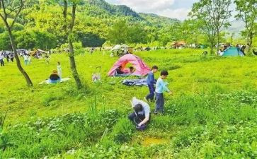 郊游幼儿教案8篇