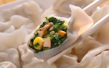 饱饺子作文最新5篇