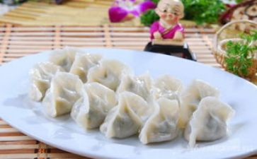 春节饺子宴作文5篇