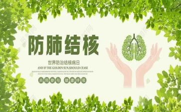 结核病半年工作总结5篇