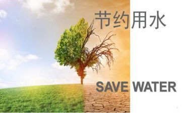 节约电的作文5篇