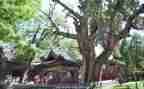 描写晋祠的作文500字优秀5篇