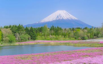 秋天的山景作文600字模板6篇