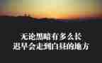 中国精神女排精神作文8篇