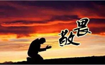 《敬畏生命》教案7篇