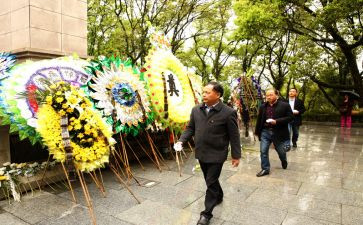 单位清明祭扫活动总结8篇