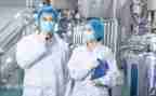 技术工作总结个人总结最新5篇