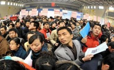 大学生就业问题调查报告6篇