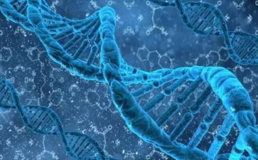 传承红色基因,争做强国少年作文5篇