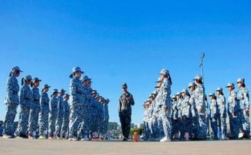军训心得作文参考5篇
