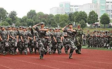 军训感想作文范文7篇