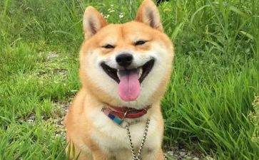 一件开心的事作文100字8篇