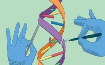 科学节活动总结参考6篇