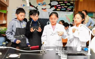 科学课学期总结7篇
