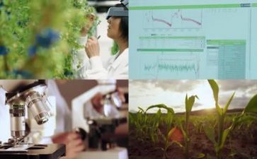 2024科研工作计划推荐7篇