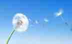 空气大班教案通用5篇