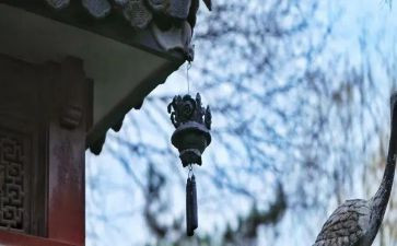初中的苦与乐作文800字优质8篇