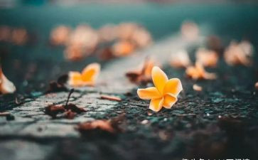 愧疚为话题作文7篇