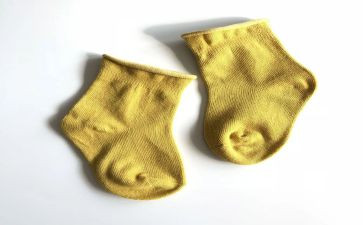 来宾讲话稿精选6篇