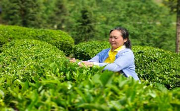 来陕讲话心得体会范文通用6篇