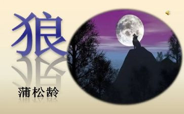 《狼》的读后感300字模板5篇