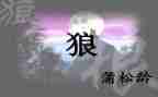 《狼》的读后感300字参考8篇