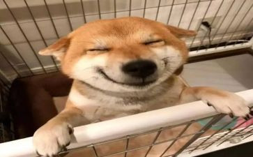 我快乐,我快乐作文600字模板5篇
