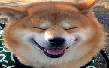 作文我_我快乐600字最新5篇