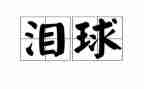 感动泪水的作文5篇