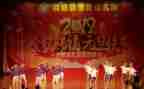 春节联欢活动策划5篇