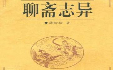 读聊斋志异读后感800字7篇