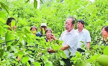 李保国的事迹5篇